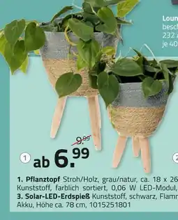 ROLLER Pflanztopf Angebot