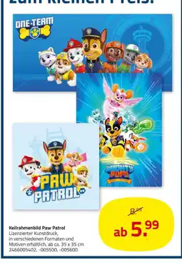 ROLLER Keilrahmenbild paw patrol Angebot