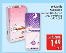 Marktkauf My camelia maxi binden Angebot