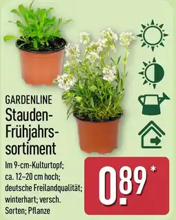 Aldi Nord GARDENLINE Stauden Frühjahrs sortiment Angebot