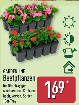 Aldi Nord GARDENLINE Beetpflanzen Angebot