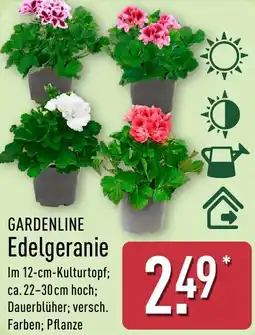 Aldi Nord GARDENLINE Edelgeranie Angebot