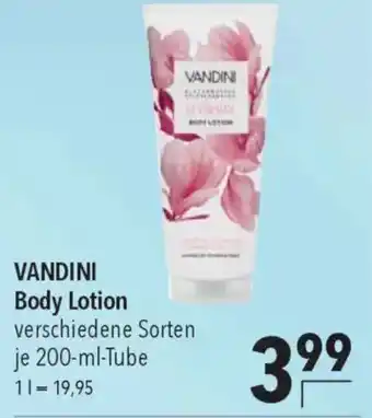CITTI Markt VANDINI Body Lotion Angebot