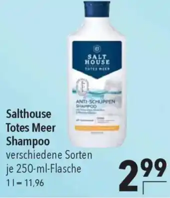 CITTI Markt Salthouse Totes Meer Shampoo Angebot
