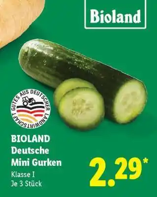 Lidl Bioland Deutsche Mini Gurken Angebot