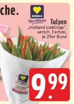 Edeka Tulpen 'Holland Lieblinge' Angebot