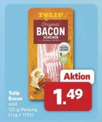 Combi Tulip Bacon Angebot