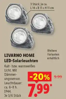 Lidl LIVARNO HOME LED-Solarleuchten Angebot
