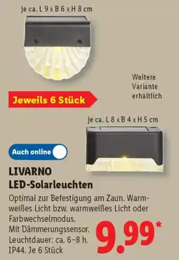 Lidl LIVARNO LED-Solarleuchten Angebot
