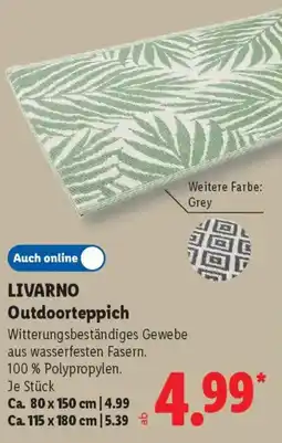 Lidl LIVARNO Outdoorteppich Angebot