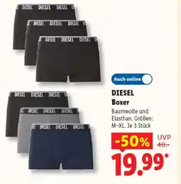Lidl DIESEL Boxer Angebot