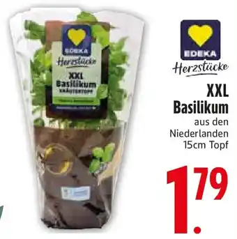 Edeka EDEKA Herzstücke XXL Basilikum Angebot
