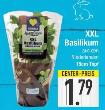 E-Center XXL Basilikum Angebot