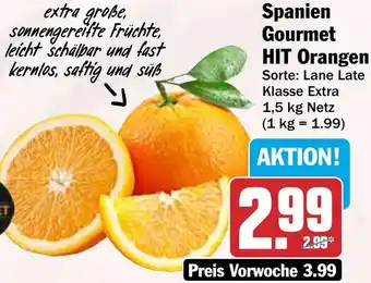 HIT Spanien Gourmet HIT Orangen Angebot