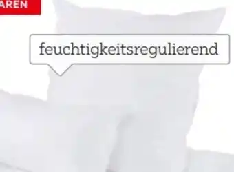 XXXLutz Centa-Star Kopfkissen Vegan Dream Angebot