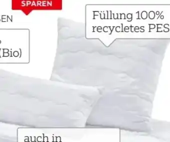 XXXLutz Sleeptex Kopfkissen Levante Angebot