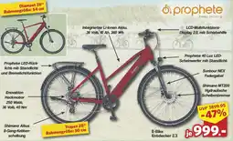 Famila Nord West prophete E-Bike Entdecker 2.3 Angebot