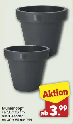 Famila Nord West Blumentopf Angebot