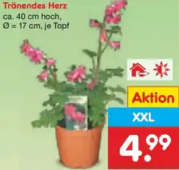 Netto Marken-Discount Tränendes Herz Angebot