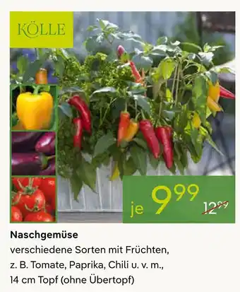 Pflanzen Kölle Kölle naschgemüse Angebot