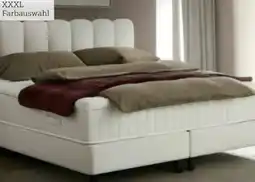 XXXLutz Esposa Boxspringbett Angebot