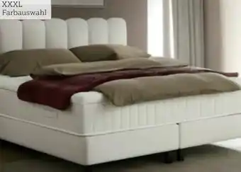 XXXLutz Esposa Boxspringbett Angebot