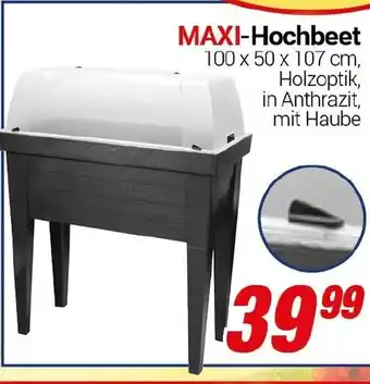 CENTERSHOP MAXI-Hochbeet Angebot