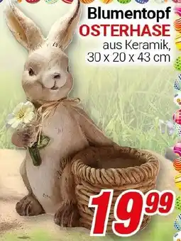 CENTERSHOP Blumentopf OSTERHASE Angebot