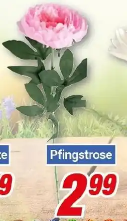 CENTERSHOP Kunstblumen Angebot