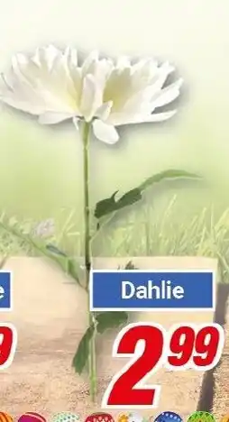 CENTERSHOP Kunstblumen Angebot