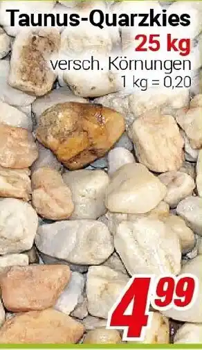 CENTERSHOP Taunus-Quarzkies Angebot