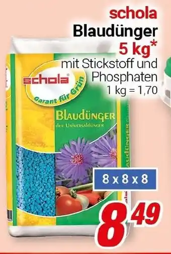 CENTERSHOP schola Blaudünger Angebot