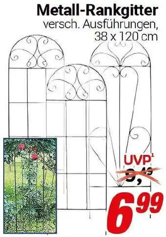 CENTERSHOP Metall-Rankgitter Angebot