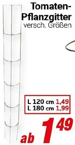 CENTERSHOP Tomaten Pflanzgitter Angebot
