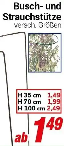 CENTERSHOP Busch und Strauchstütze Angebot