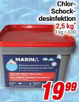 CENTERSHOP Chlor Schockdesinfektion Angebot