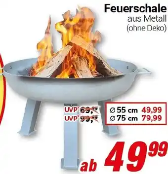 CENTERSHOP Feuerschale Angebot