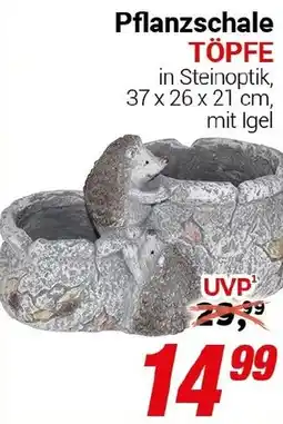 CENTERSHOP Pflanzschale TÖPFE Angebot