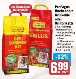 HIT ProFagus Buchenholz Grillkohle oder Grillbriketts Angebot