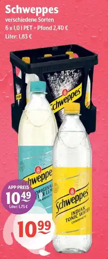 Getränke Hoffmann Schweppes Angebot