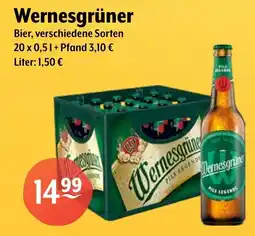 Getränke Hoffmann Wernesgrüner Bier Angebot