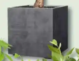 Bauhaus Pflanzkübel 'Millennium' Kunststoff, Ashgrey oder Anthrazit Angebot