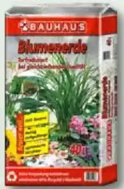 Bauhaus BAUHAUS Blumenerde Angebot