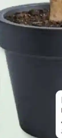 Bauhaus Pflanztopf 'Lofly' Angebot