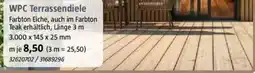 Bauhaus WPC Terrassendiele Angebot