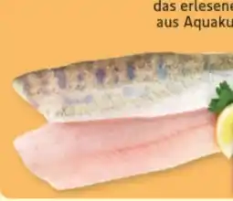 E-Center Kaiserzander Zanderfilet Angebot