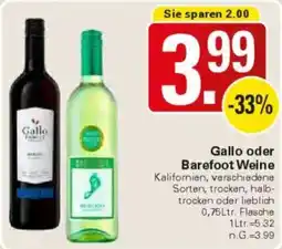 WEZ Gallo oder Barefoot Weine Angebot