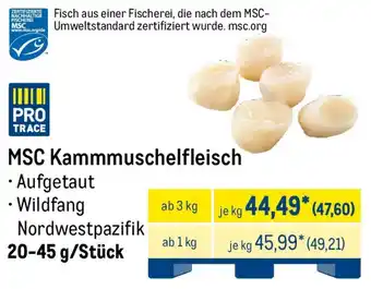 METRO MSC Kammmuschelfleisch Angebot