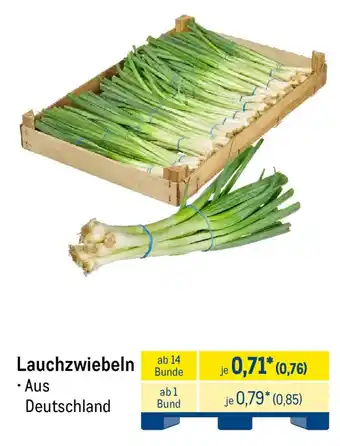METRO Lauchzwiebeln Angebot