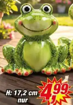 Posten Börse Keramik Deko Frosch glasiert Angebot